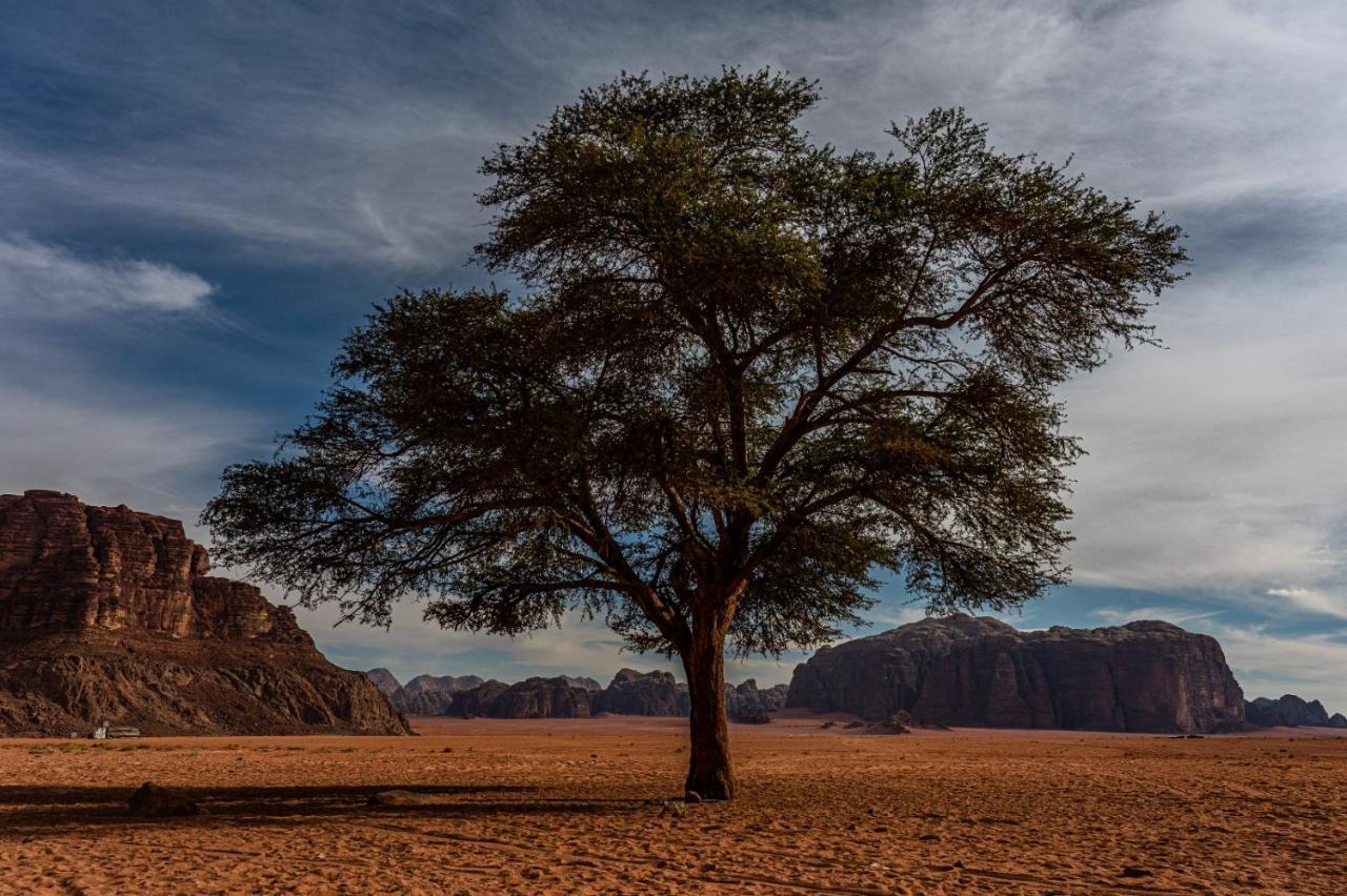 Wadi Rum Old Bedouin Camp Esterno foto