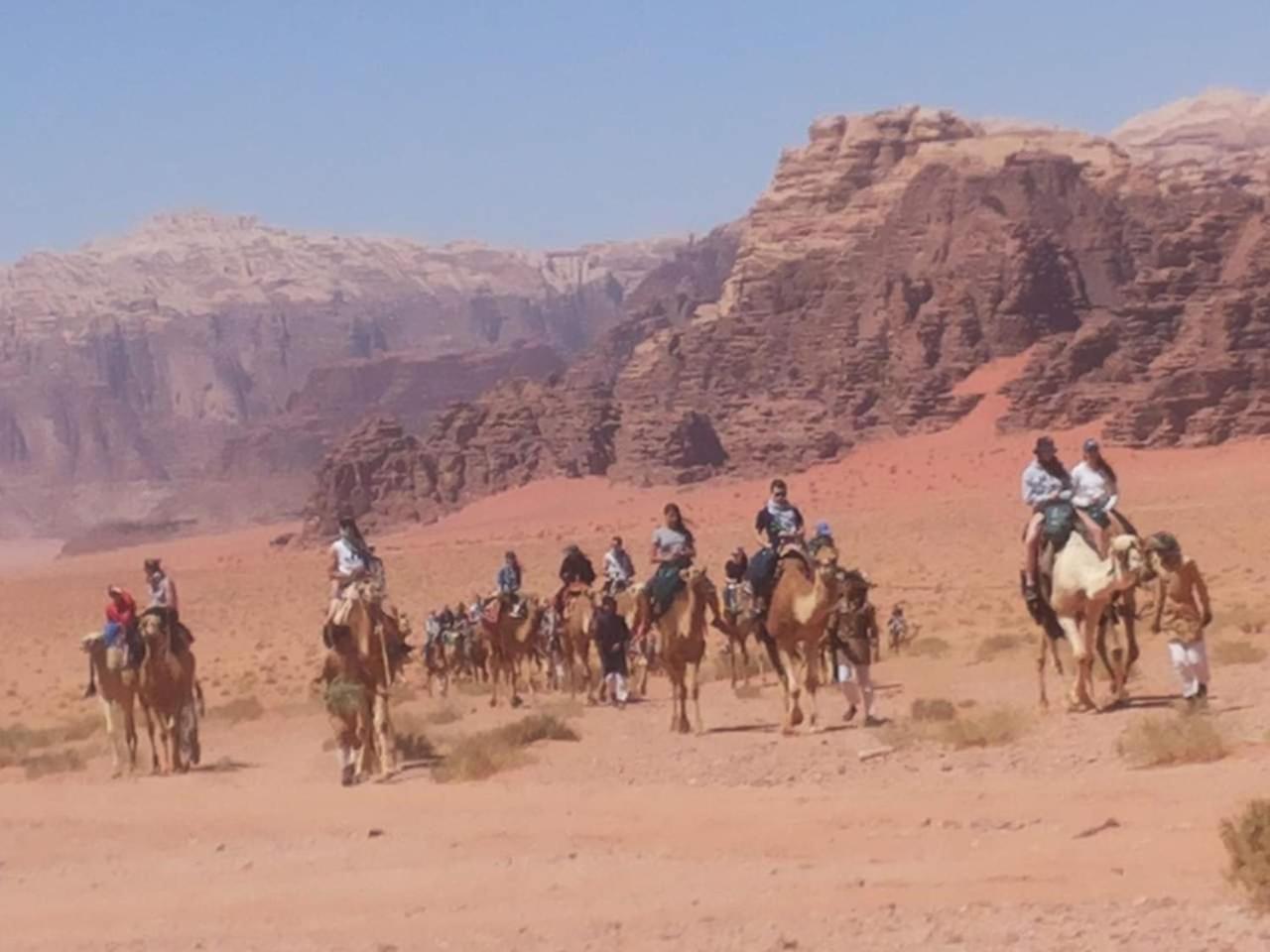 Wadi Rum Old Bedouin Camp Esterno foto